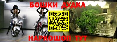 a pvp Бердск
